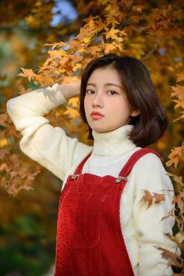 天天影视综合网免费观看电视剧国产