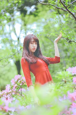 洗屋先生第一季动漫全集在线